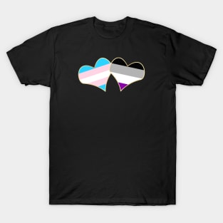 Gender and Sexuality (Asexual) T-Shirt